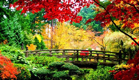 🔥 Download Japan Natural Landscape Beautiful Places Wallpaper By