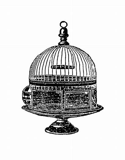 Digital Cage Bird Birdcage Dome Clip Illustration