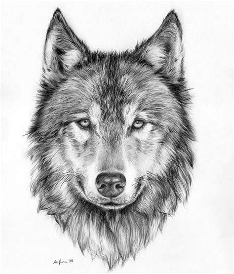 A5 A4 Watercolour Painting And Pen Wolf Original Art Print Limited