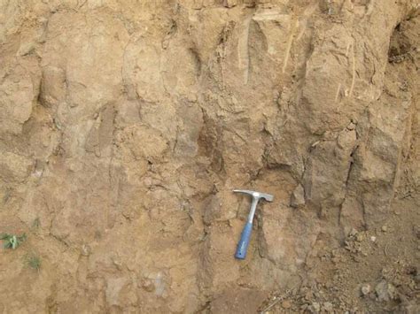 Clayey Silty Sediments Diffusely Outcropping Unit 8s Near Cascina