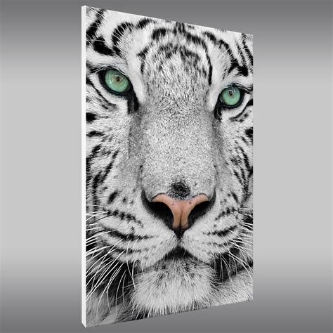 Die seite 1 für aktuelle nachrichten und themen, bilder und videos aus den bereichen news, wirtschaft damals war kommissarsanwärterin anna feil noch dabei. Wandtattoos folies : Forex Bild Tiger