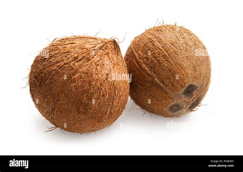 Coconut Coconuts Isolated On White Background Stock Photo Alamy