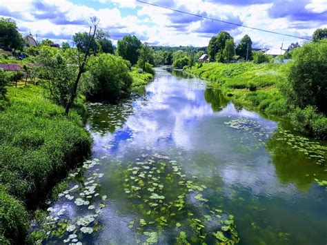 Free Images Sky Cloud Water Resources Flower Plant Community