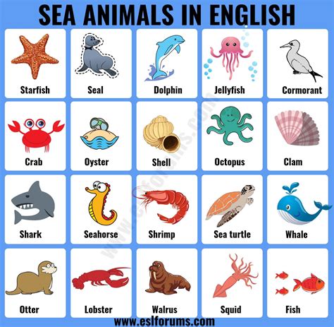 Sea Animals List Of 20 Interesting Sea Ocean Animals With The