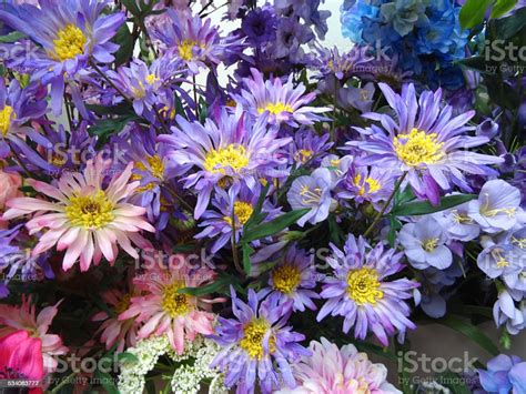 Plastic Silk Purple Pink Blue Daisies Artificial Aster Daisy Flowers