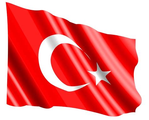 illüstratör ile dalgalı türk bayrağı vektörel çizim nasıl yapılır