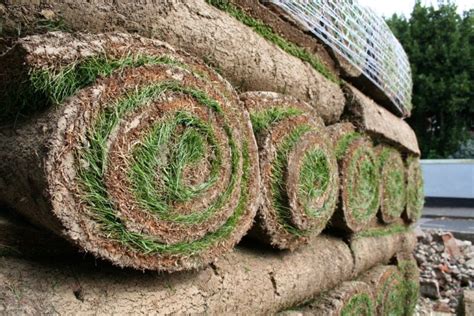 find turf suppliers