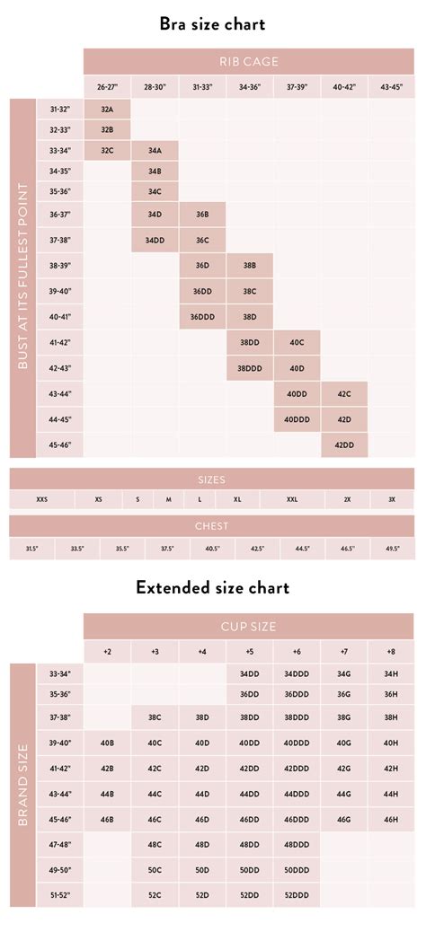 How To Measure Your Bra Size Bra Size Charts Band And Cup Measurement Guide Vlrengbr