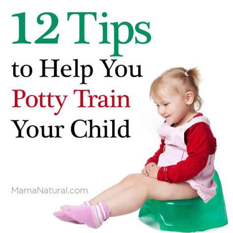Baby Potty Color How Do You Potty Train Your Toddler Boys Potty