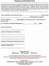 Free Fake Pregnancy Papers From Doctor Photos