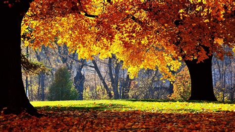 Cold Autumn Day Wallpapers Wallpaper Cave