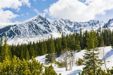Spring Begins The Fight With Winter Mountain Landscape View Of Snowy