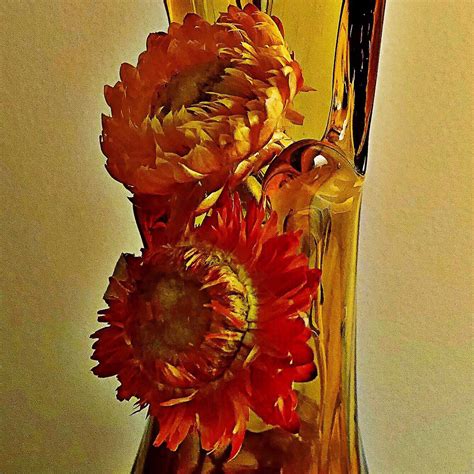Flowers In An Orange Vase For Macro Mondays Theme Redux 20 Flickr
