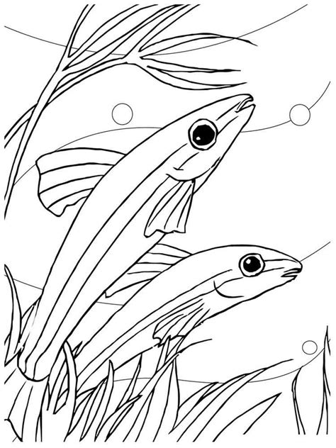 Composition of tropical fish, seahorse, jellyfish, shell, underw. Aquarium Fish coloring pages. Download and print Aquarium Fish coloring pages.