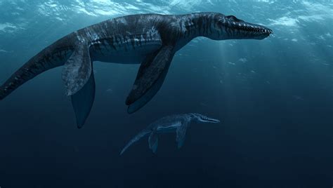 Související Obrázek Sea Dinosaurs Sea Monsters Prehistoric