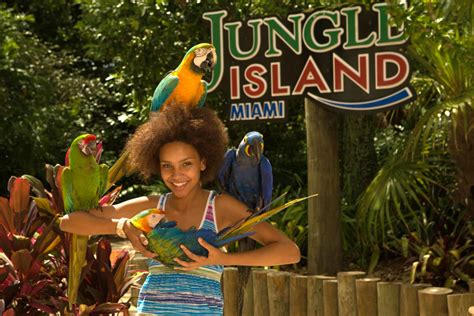 Jungle Island Miami Interactive Exhibits Fun Shows And Animals Galore
