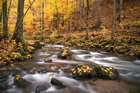 Wallpaper Autumn Calm Color Czech Fall Flow Forest Leaf