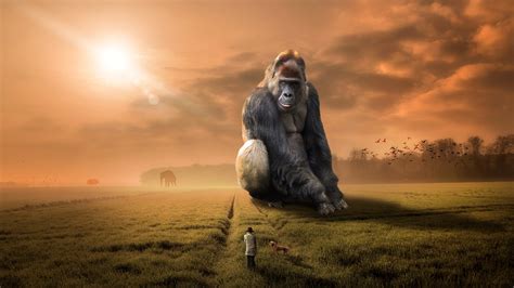 Giant Gorilla 4k Ultra Hd Wallpaper Background Image 3840x2160 Id
