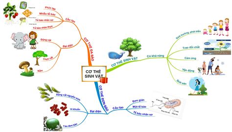 Lý Thuyết Sơ đồ Tư Duy Cơ Thể Sinh Vật Sinh 6