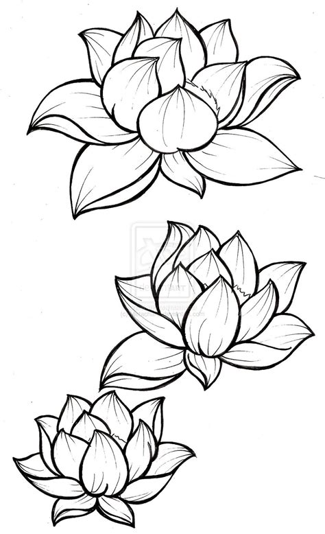 Lotus Blossom Tattoo By Metacharis On Deviantart Lotus Blossom
