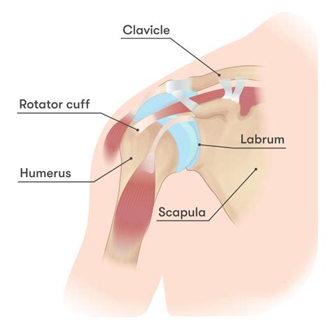 Check spelling or type a new query. Frozen Shoulder: 7 Easy Home Exercises for Pain Relief