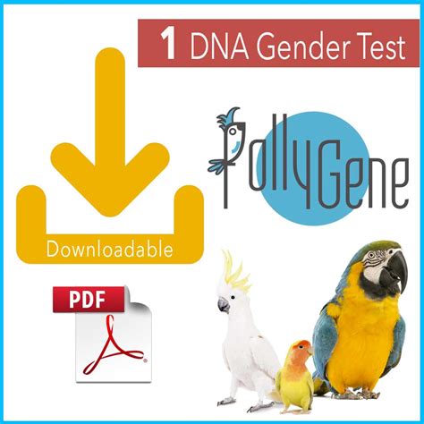Bird Dna Gender Test For Parrots The Best Avian Sexing Kit Pollygene