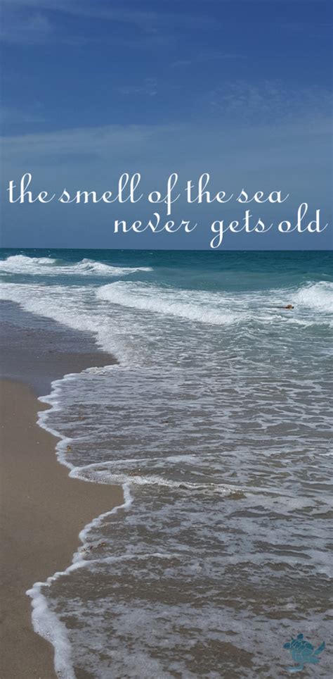 Good luck with the others. The Smell of the Sea • Waterfront Properties Blog
