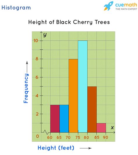 Histogram Graph Definition Properties Examples