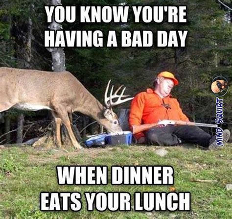 Pin By Alice K On Funny Hunting Humor Funny Deer Funny Pictures