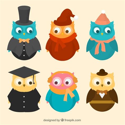 Free Vector Set Of Six Owls With Clothes And Hats