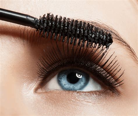 Applying Eye Makeup For Over 50 Makeup Vidalondon