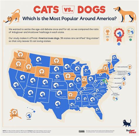 Every Countrys Preference For Cats Or Dog Mapped Vivid Maps