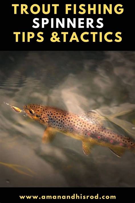 17 Tips For Trout Fishing Spinners That Fish Will Love A Man And His