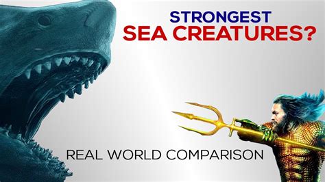 Strongest Sea Creatures Youtube