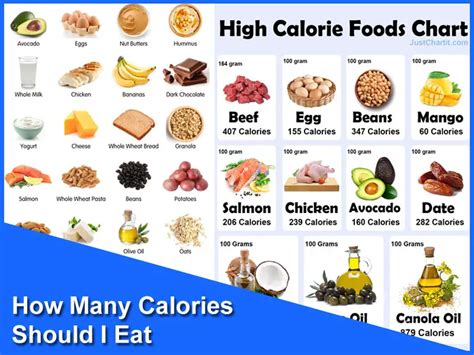 How Many Calories Should I Eat Easy Steps
