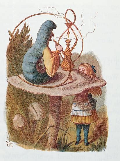 Alice And The Caterpillar Illustration From Alice In Wonderland By