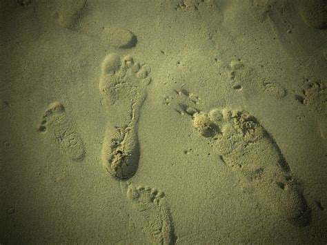 Free Images Beach Sand Rock Walking Texture Footprint