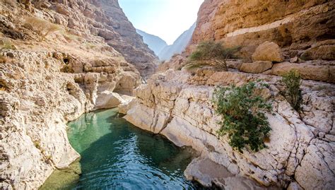Destination Desert: The Ultimate Guide to Oman’s Wadis | LaptrinhX / News