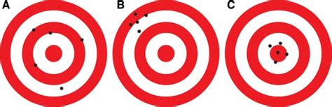 Illustrations Of A Target And Bullet Holes A Marksman May Shoot In The