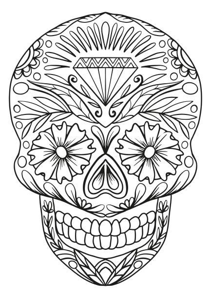 Day Of The Dead Drawing Stock Photos Pictures And Royalty Free Images