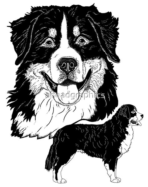 Bernese Mountain Dogs By Aheadgraphics Redbubble