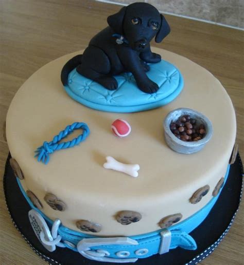 Labrador Puppy Cake Project On Puppy Birthday Cakes Dog
