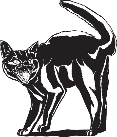 Black Cat Hissing Drawing