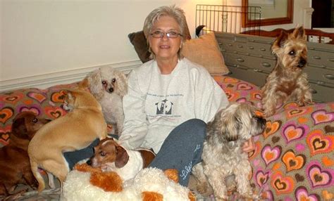 Woman Opens Retirement Home For Senior Dogs Life With Dogs