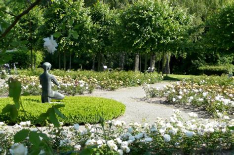 We did not find results for: Geschichte - Botanischer Garten Kassel