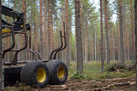 Heavy Equipment In Logging And Forestry Forwarders Are Used To Pick Up
