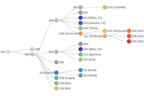 Introduction To Phylogenetics Tools And Models