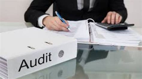 Various Kinds Of Audit And Assurance For The Company
