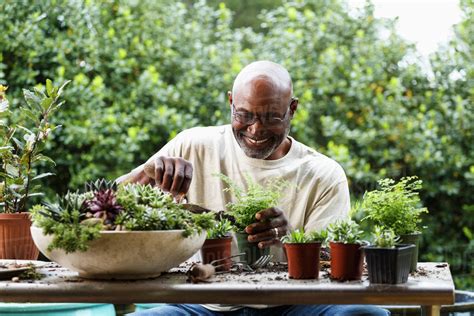 Black Man Gardening At Table Outdoors Stock Photo Dissolve