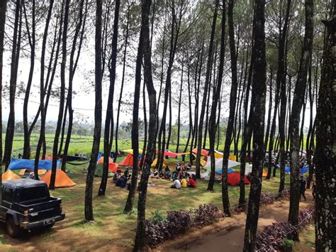 Camping Ground Bandung South Camp Pangalengan
